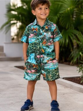 RJC Hawaii Boys Matching Set Flamingo Shirt Shorts Sz 5